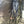 CP Company Blue Outline Goggle Jacket