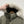 CP Company 50 Fili Down Parka