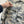 CP Company 50 Fili Mixed Camo Overshirt