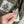 CP Company 50 Fili Down Parka