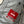 CP Company Nycra Down Parka