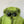 CP Company Green Outline Goggle Jacket