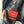 CP Company Kan-D 500 Miglia Jacket