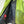 CP Company Green Outline Goggle Jacket