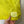 CP Company Chrome R Yellow Swimshorts