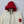 Moncler Octano Jacket