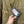 CP Company Tracery LA Mille Jacket